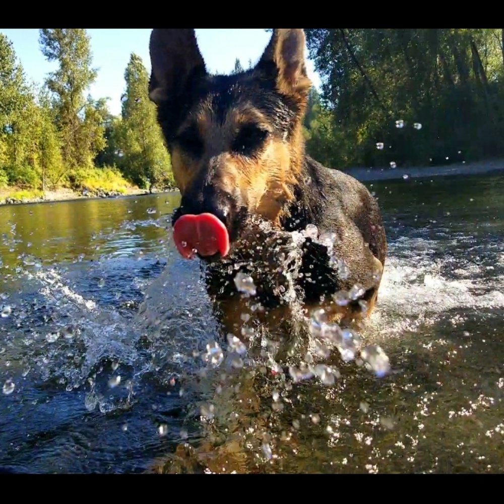 Meet your Posher, Hailey